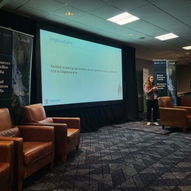 Credit: Lauren Miner