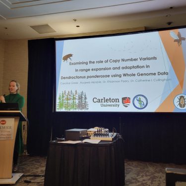 Credit Cathy Cullingham