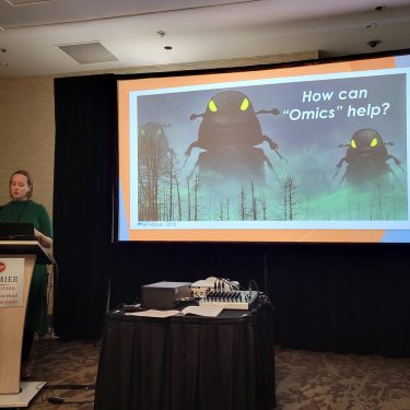 Credit Cathy Cullingham