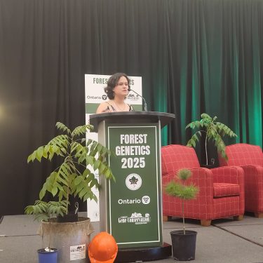 Credit: Lauren Miner