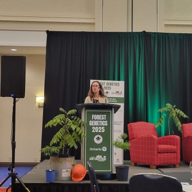 Credit: Lauren Miner