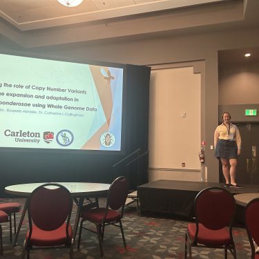 Credit: Roqeeb Akinbile