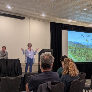 Credit: Lucas Iwamoto-Feitosa