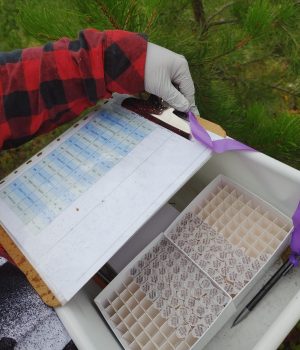 Good organization (and proper water protection!) is a necessity in field work. Credit: Aryn Laxton