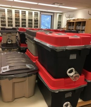 Bolts are stored in bins. When they emerge, mountain pine beetle are attracted to light and will collect in the clear jars attached. Credit: Antonia Musso