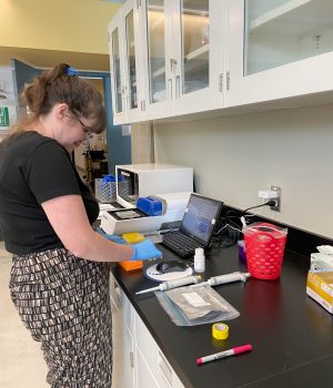 Preparing samples for exome capture with TWIST Bioscience. Credit: Rhiannon Peery