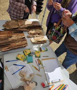 Public engagement and outreach. Credit: Valerie Berseth